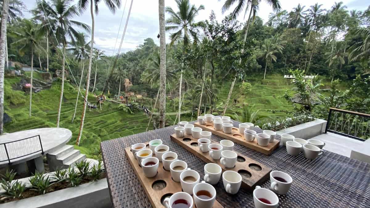 Vamana Bali Trending Escape Tour